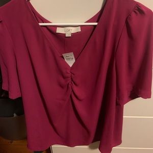 Ann Taylor loft Fushia Blouse NWT Size L